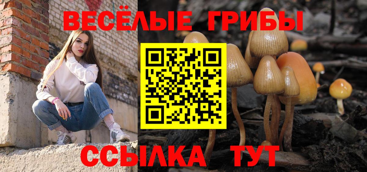 Псилоцибиновые грибы MAGIC MUSHROOMS  Вход с VPN  Черкесск 