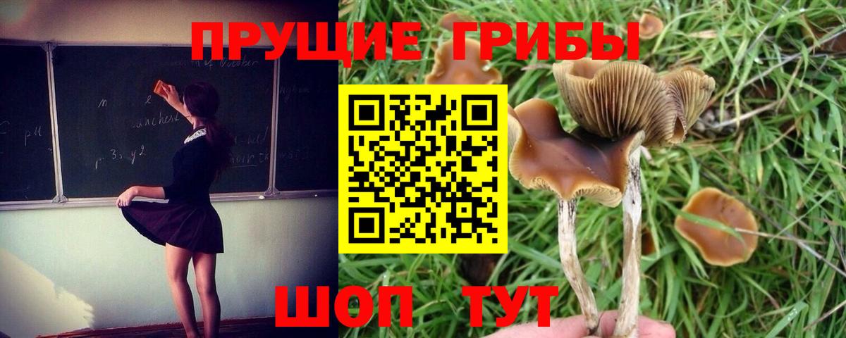 Галлюциногенные грибы ЛСД Черкесск